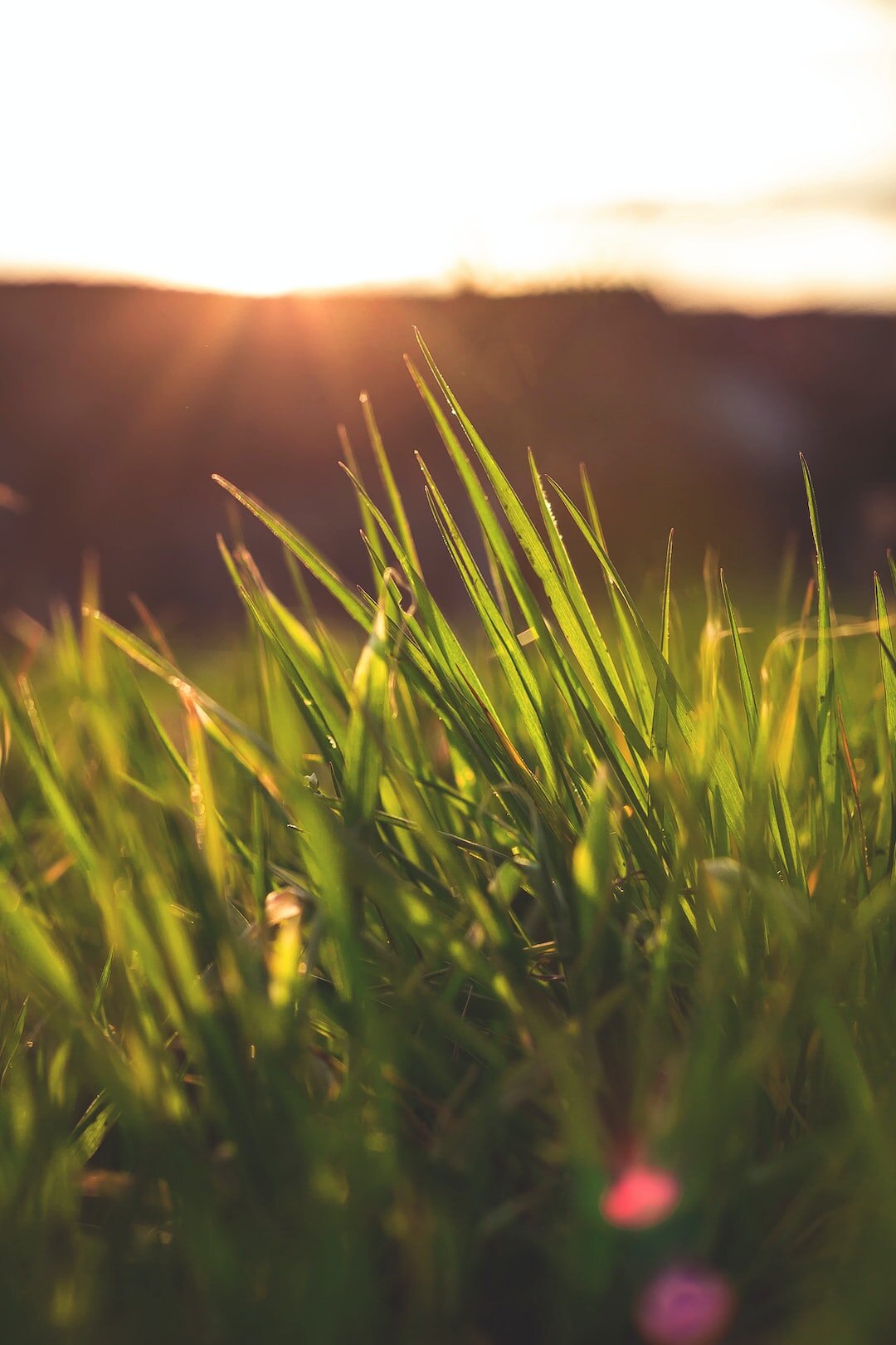 foundation-principles